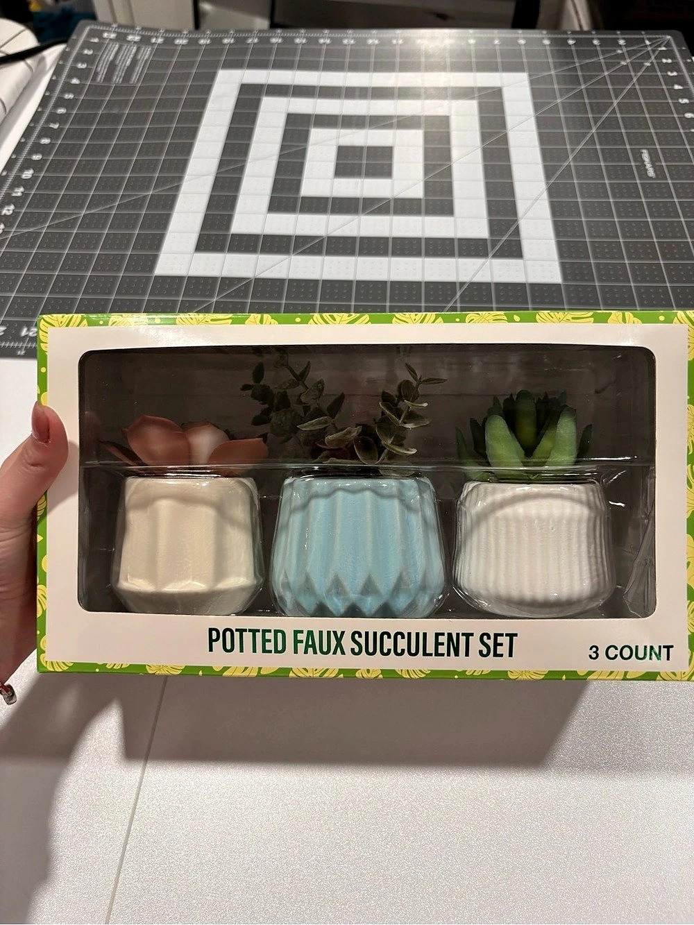 Festive Voice Potted Faux Succulent Set Green & White